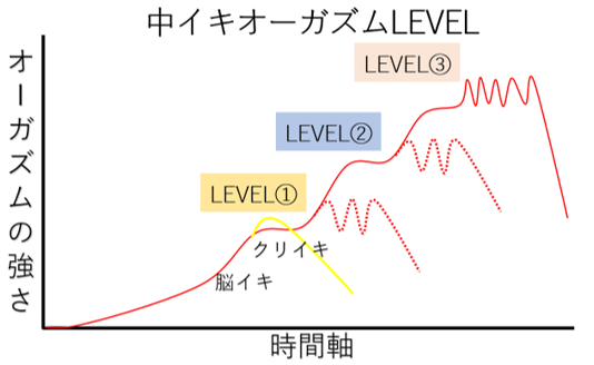 オーガズムのレベル